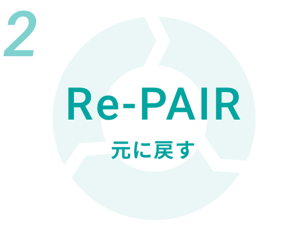 Re PAIR 元に戻す